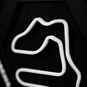 Sebring hex macro, the white circuit almost filling the frame including its long hairpin